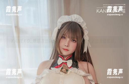 KANEKO_咔喵 KANEKO_咔喵灰丝高清合集:每一帧都是生活的柔情缠绵。