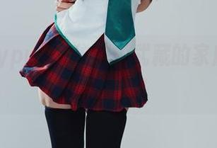 探索puypuy的秘密：武藏的家庭主妇作品集下载！