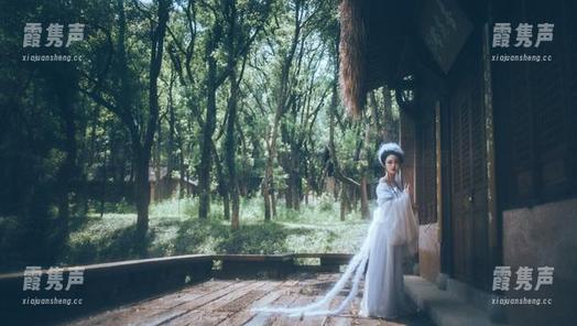 好H好女杀手 微密圈 - “好H好女杀手”旅拍合集:美丽的背后总有一把刀