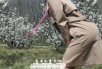 微密圈 – 探索家有水墨老师的图集:让人眼前一亮的御姐艺术!